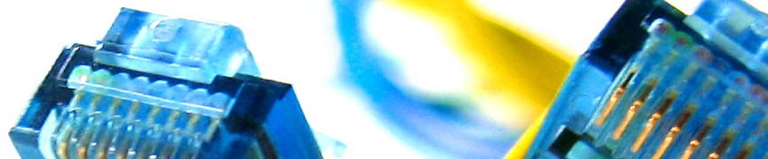Random header image... Refresh for more!
